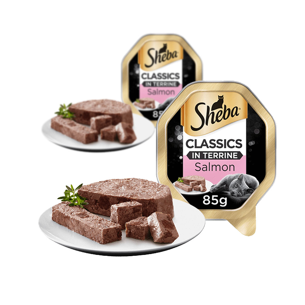 Twin Pack Sheba In Terrine with Salmon 85g