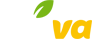 Flavva